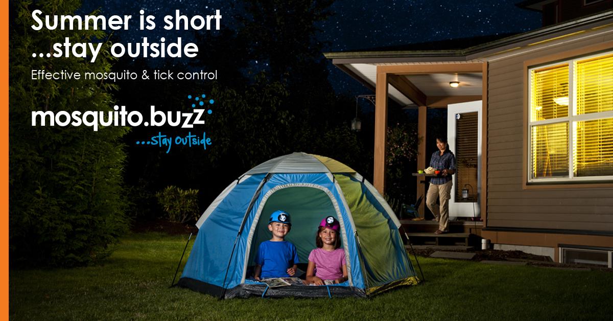 mosquito.buzz-summer-is-short
